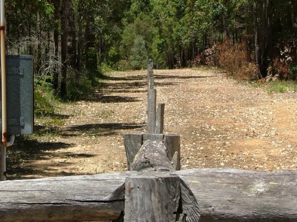 Trees and Fire Breaks | branchingouttrees.com.au