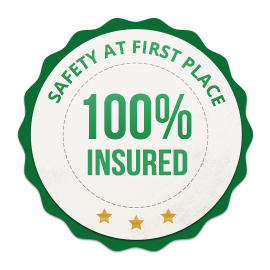 insured_badge